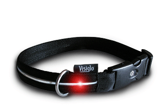 visigo